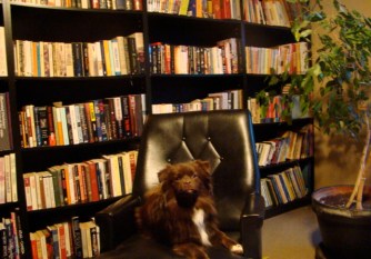 A photo of Ev Bishop's library at her old home