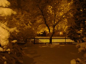 Photo copyright Ev Bishop