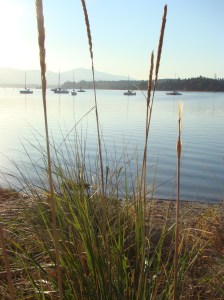 "In the Distance" - Photo by Ev Bishop