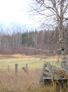 "Early Spring Daze" - Photo by Ev Bishop