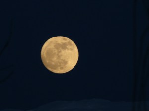 apr_7_2012_moon8