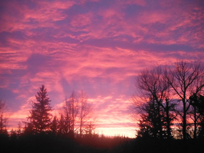 But the sun's been quite kind while I wrote this  . . . ~ Elton John. Photo by Ev Bishop, copyright 2014