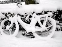 Photo by betterpharm on Flickr