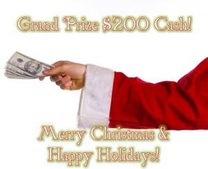 Winter Wonderland Book Giveaway