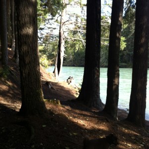 Beauty in the shadows