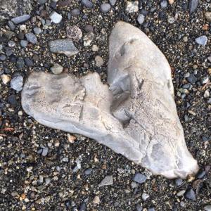 Photo by Yvonne Letourneau Rego